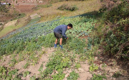 Từ lương 1,9 tỷ đồng/năm xuống còn 22 triệu đồng/tháng: Người đàn ông có học vị tiến sĩ nói mình mới là "kẻ chiến thắng" thực sự