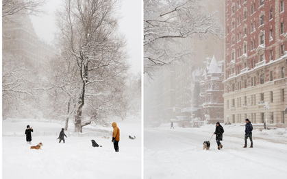 Phía sau khung cảnh New York trắng xóa như cổ tích những ngày này