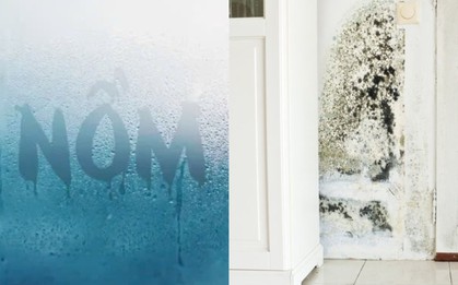 Kinh hoàng: Nấm mốc âm thầm "làm ổ" trong 7 thứ quen thuộc, mùa nồm đến là sinh sôi như vũ bão