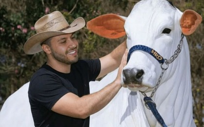 Đây là con bò đắt nhất thế giới với trọng lượng hơn 1 tấn và có giá hơn 4 triệu USD