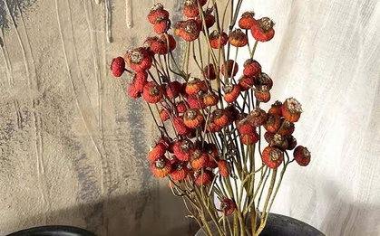 Tháng Giêng giữ 4 thứ này trong nhà: Xui xẻo đủ đường, tài lộc công danh bị chặn đứng