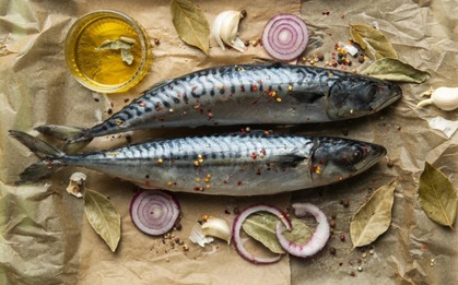 5 loại cá vô địch omega-3, bỏ xa cá hồi: Chợ Việt bán nhiều vô số