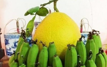 Cảnh báo đặc biệt tới các gia đình đang bày bưởi ngày Tết