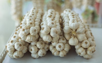 Gia vị dân dã của Việt Nam trồng tại nơi đặc biệt trở thành "vàng trắng": Giá đến 1,5 triệu đồng/kg