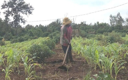 Chưa có kinh phí bồi thường cho 6 giáo viên thắng kiện hơn 4 năm trước