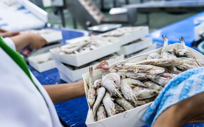 Một ngành hàng của Việt Nam được cả thế giới săn đón - xuất khẩu đạt 874 triệu USD tháng đầu năm, tăng trưởng 13%