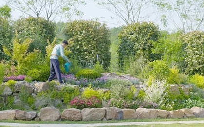 Nghỉ hưu ở tuổi 57, giám đốc mang 5 tỷ đồng về quê dưỡng già, 58 tuổi lại tìm đường ra thành phố: “Tôi không thể chịu nổi”