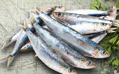 7 loại cá tích tụ thủy ngân nhiều bậc nhất