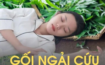 Tôi dùng ngải cứu làm bông nhồi gối trong 6 tháng, sau đó đi khám sức khỏe và bác sĩ đã rất "ghen tị" vì lý do này