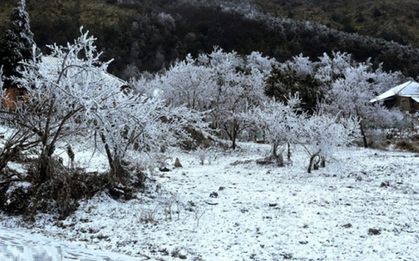 Không khí lạnh cường độ cực mạnh tràn về, miền Bắc "rét buốt thấu xương"
