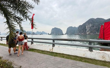 Cảnh tượng ngay lúc này trên vịnh Hạ Long: Sau gần 30 năm mới thấy lại, nhiều người không tin vào mắt mình