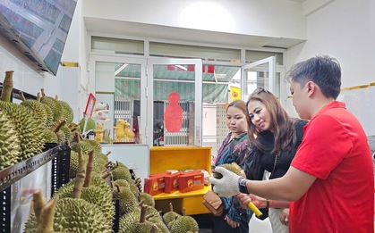 Sầu riêng gai đen tiền triệu mỗi trái vẫn ‘cháy hàng’