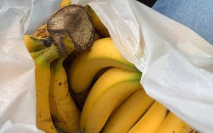 5 loại trái cây ăn khi đói "phá dạ dày" không kém gì uống rượu, nhiều người tưởng càng ăn càng... khoẻ