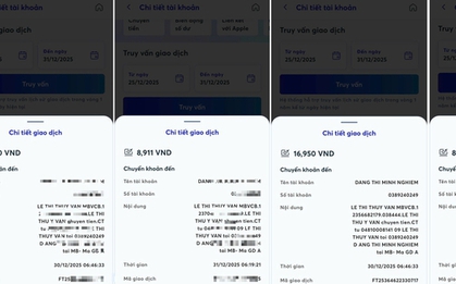 Một phụ nữ lừa đảo chiếm đoạt tài sản với thủ đoạn hiếm thấy