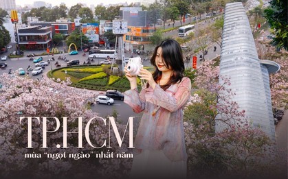 Giữa cái nắng gắt ở TP.HCM, dân tình đồng loạt đi chậm lại ngắm hàng kèn hồng hiếm hoi trong năm