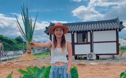 Thứ rau chợ Việt bán vài nghìn cả nắm, nấu món gì cũng thơm nhưng là "khắc tinh" của nhiều loại ung thư, "quét đường" trong máu