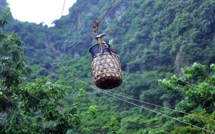 Đặc sản vùng núi phía Bắc được ví như "vua của các loại", Chủ tịch xã từng trực tiếp bán trên livestream