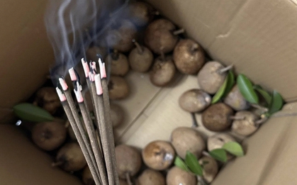 Cô gái cắm hương vào thùng hoa quả, nhiều người thắc mắc vì sao