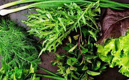 Loại rau gia vị tốt nhất, đem lại nhiều lợi ích cho sức khỏe