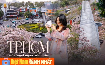 Giữa cái nắng gắt ở TP.HCM, dân tình đồng loạt đi chậm lại ngắm hàng kèn hồng hiếm hoi trong năm