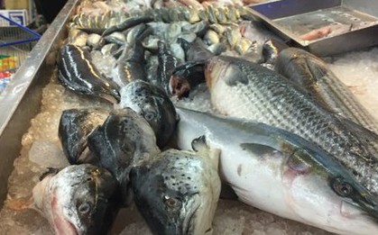 Hoa mắt trước quầy cá siêu thị: Nhân viên chỉ 3 loại "vô địch DHA", tốt cho não, giá vừa túi tiền