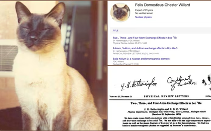 Chú mèo uyên bác nhất lịch sử là đồng tác giả 3 công trình vật lý và được mời làm việc tại đại học