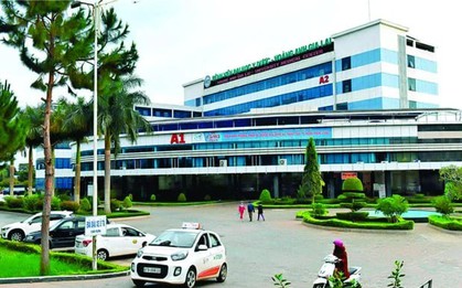 Cựu CEO Quốc Cường Gia Lai Nguyễn Thị Như Loan sắp hầu tòa