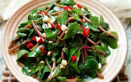 3 loại rau dại ven đường giúp "chống ung thư", rẻ bèo ngoài chợ, mùa này không ăn là tiếc