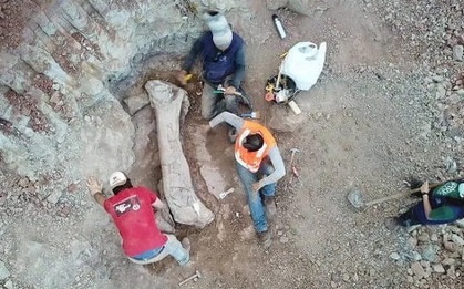 Quái vật dài 20 m "trỗi dậy" giữa công trình đường sắt