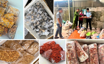 4 tấn nầm lợn, tràng trứng, chả mực, bạch tuộc… không rõ nguồn gốc suýt vào quán nhậu: Lời khai gây giật mình của chủ kho đông lạnh