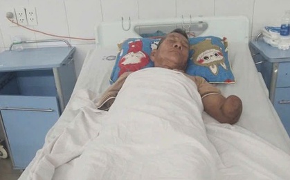 Tin mới liên quan cụ ông cụt 2 tay kẹp con rắn hổ mang dài 2 mét