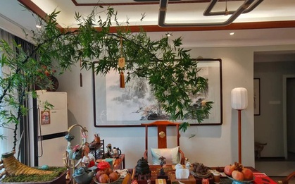 Ông bà dặn kỹ: 6 vị trí trong nhà tuyệt đối không nên đặt cây cảnh, sai một ly gia đình dễ lục đục