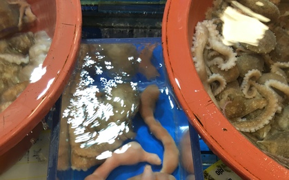 Cố chấp ăn đặc sản giun sống ở Hàn Quốc, khách Việt rùng mình dù chỉ mới ăn 1 miếng