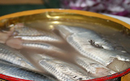 Việt Nam sở hữu loại cá "tốt nhất thế giới", giá bình dân, ngoài chợ bán đầy