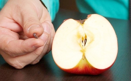 Những loại trái cây có hạt chứa độc tố, cẩn thận kẻo "ôm bệnh" vào thân
