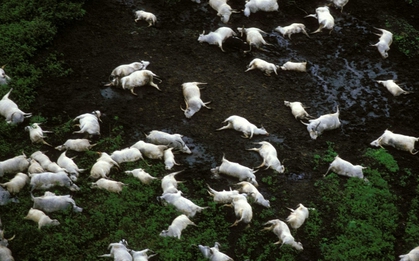 Thảm họa "hồ giết người" cướp đi 1.746 sinh mạng chỉ trong một hơi thở