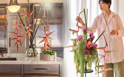 Bóc trần sự thật về loài hoa "Hồng Hạc" đang rần rần cõi mạng: Đẹp mộng mị nhưng đỏng đảnh khó chiều, lỡ mua rồi thì cắm sao cho sang?