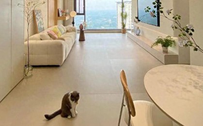 Bất chấp mọi lời khuyên, tôi vẫn lát gạch 600×1200mm cho phòng khách và sau khi ở 6 tháng, đây là điều tôi muốn nói thật