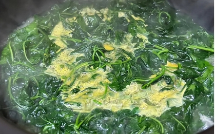 Loại rau mọc dại khắp bờ bụi, được ví là “vũ khí” chống ung thư, tiểu đường: Tiếc là ít người biết để ăn