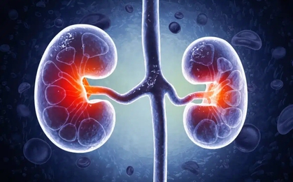 1 thói quen “bức tử” 2 quả thận: Rất nhiều người đang làm mỗi ngày