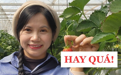 Bà mẹ Hà Nội chỉ cách nuôi dạy con thành CÔNG DÂN TOÀN CẦU: Từ mầm non đến đại học, cực kì chi tiết