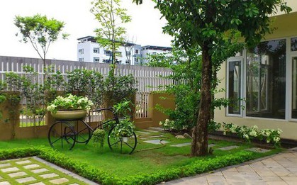 5 loại cây đừng trồng trước cửa nhà