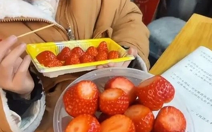 Cả nghìn người "chướng mắt" khi xem hình ảnh một bà mẹ dạy con cách ăn dâu tây: Con nhà lính, tính nhà quan là đây!