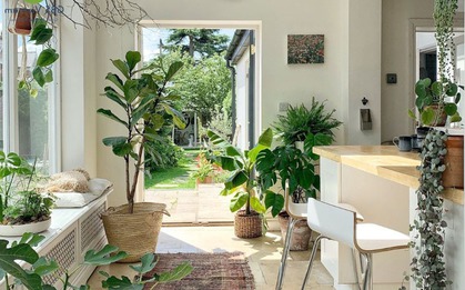 Ông bà nói: "Vận đến không ồn ào, nhưng sẽ có điềm báo" - 6 dấu hiệu cho biết nhà bạn có lộc trời ban