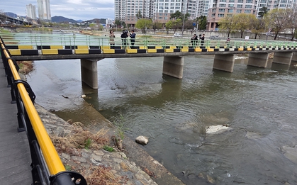 Hàn Quốc: Phát hiện vali chứa thi thể phụ nữ thả dưới chân cầu, nhân chứng kể lại thời khắc kinh hoàng