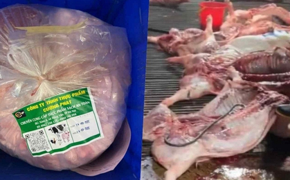 Vụ 300 tấn thịt lợn bệnh: Gói thầu hơn 10 tỷ đồng đưa thực phẩm bẩn vào trường tiểu học ở Hà Nội