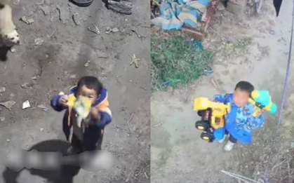 Cậu bé 4 tuổi ở quê gọi bố qua camera xin mua đồ chơi: Dễ thương đến mức cư dân mạng liên tục xin địa chỉ để gửi quà