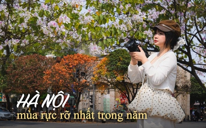 Ăn chơi cho hết tháng Giêng, mùa săn hoa đã đến khiến cả Hà Nội đứng ngồi không yên