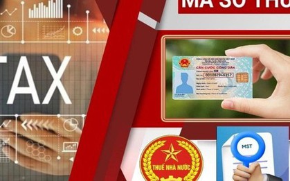 Nóng: Thuế TP Hà Nội có thông báo quan trọng về mã số thuế cá nhân
