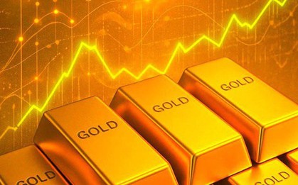 Nguồn gốc của gần 30kg vàng tinh khiết vừa được tỉnh Hà Tĩnh rao bán có từ đâu?